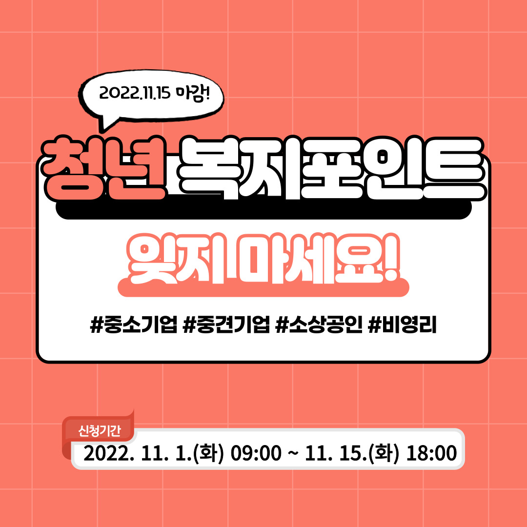  관련사진 5 보기